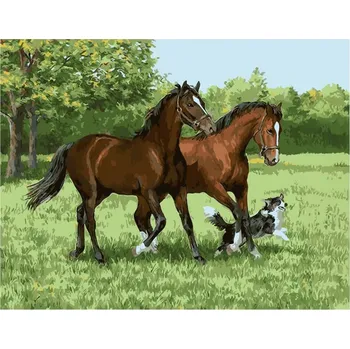 Vikpap W3091 - malování podle čísel, plátno 40 × 30 cm - Kouzlo svobody na zelené louce