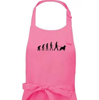 Kuchyňská zástěra Evoluce pes Briard - Dámská zástěra na vaření - Univerzální velikost ( Růžová )