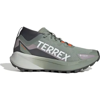 Dámská běžecká obuv adidas Terrex Agravic GTX Trail Running Shoes Womens Silver Green 8 (42)