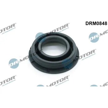 Spojovací materiál motoru Těsnění držáku trysky Dr.Motor Automotive DRM0848