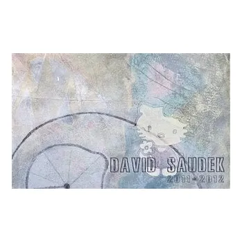 Umění David Saudek 2011 - 2012 (ČJ, AJ)