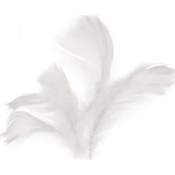 Party dekorace Peří v sáčku 10g bílé