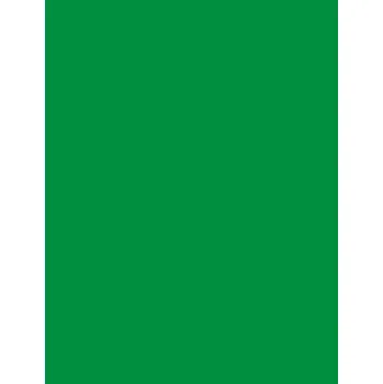 Nažehlovací záplaty jednobarevné 43x20cm - zelená