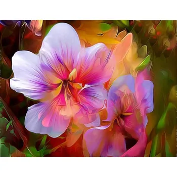 Vikpap KTL7248 - malování podle čísel, plátno 40 × 30 cm - Magické květy