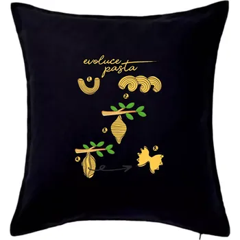 Polštář Evoluce pasta - Polštář 50x50 - 50x50 - Pouze potah ( Černá )