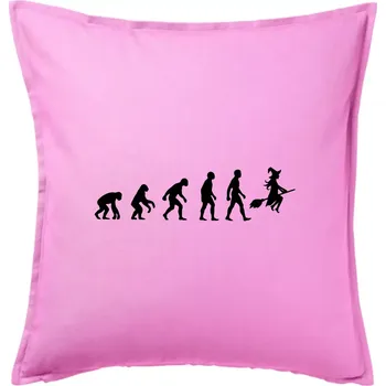 Polštář Evoluce čarodějnice - Polštář 50x50 - 50x50 - Pouze potah ( Růžová )