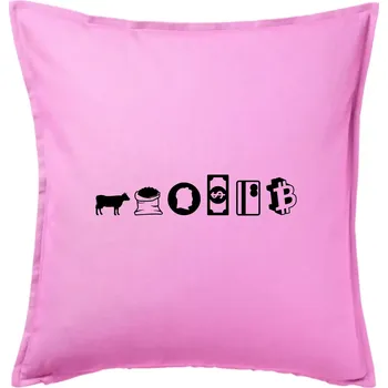 Polštář Evoluce peněz bitcoin - Polštář 50x50 - 50x50 - Pouze potah ( Růžová )