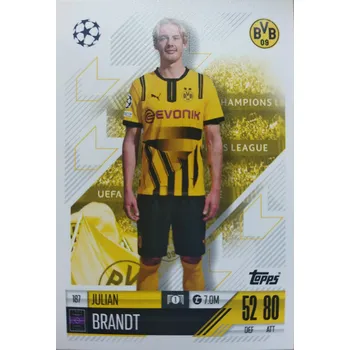 Sběratelská karetní hra Julian Brandt