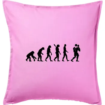 Polštář Evoluce box - Polštář 50x50 - 50x50 - Pouze potah ( Růžová )