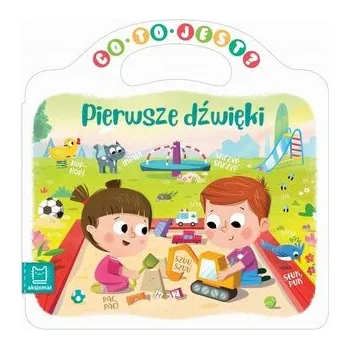 Cizojazyčná kniha Co to jest? Pierwsze dźwięki - Tim Maltby, Richard Finn