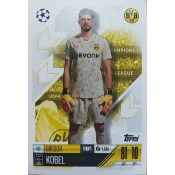 Karetní hra Gregor Kobel