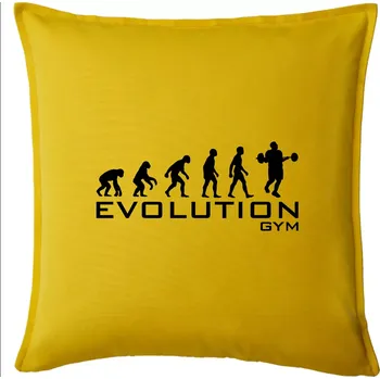 Polštář Evoluce Gym - Polštář 50x50 - 50x50 - Pouze potah ( Žlutá )