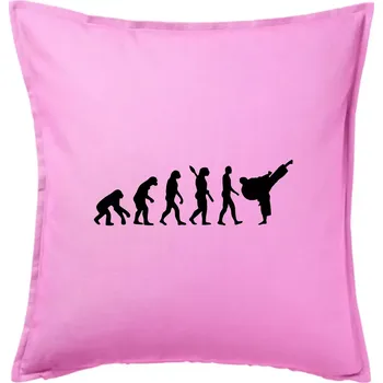 Polštář Karate Evoluce - kop - Polštář 50x50 - 50x50 - Pouze potah ( Růžová )