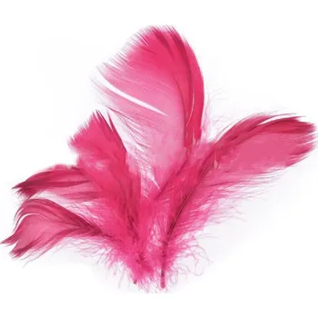 Party dekorace Peří v sáčku 10g bordó