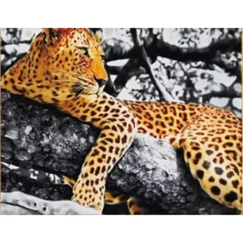 Vikpap W2620 - malování podle čísel, plátno 40 × 30 cm - Gepard