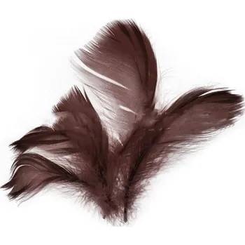 Party dekorace Peří v sáčku 10g tmavě hnědé