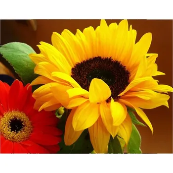 Vikpap W2379 - malování podle čísel, plátno 40 × 30 cm - Slunečnice a Gerbery