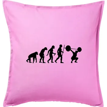 Polštář Evolution fitness - Polštář 50x50 - 50x50 - Pouze potah ( Růžová )