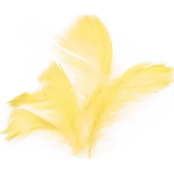 Party dekorace Peří v sáčku 10g žluté