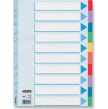 Rozdružovač A4 Esselte PVC 2x5barev Maxi E15267