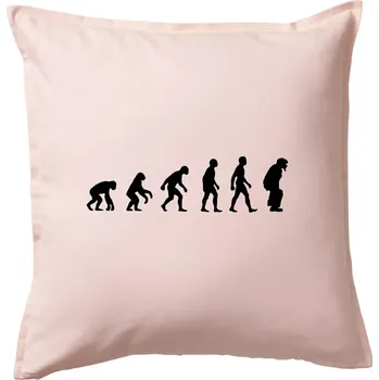 Polštář Evoluce baseball chytač - Polštář 50x50 - 50x50 - Pouze potah ( Světle růžová )