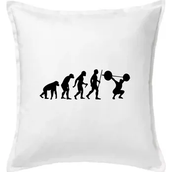 Polštář Evolution fitness - Polštář 50x50 - 50x50 - Pouze potah ( Bílá )