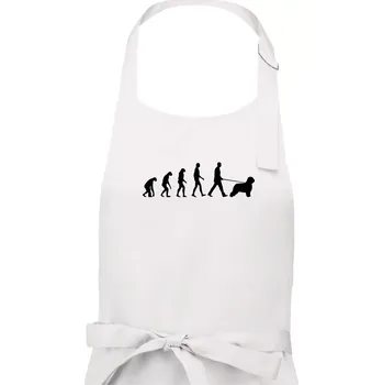Kuchyňská zástěra Evoluce pes Briard - Dámská zástěra na vaření - Univerzální velikost ( Bílá )