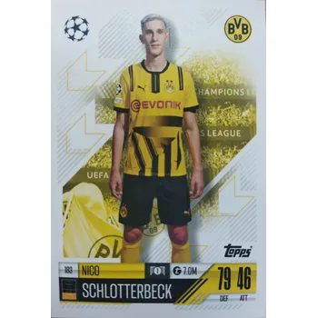 Karetní hra Nico Schlotterbeck