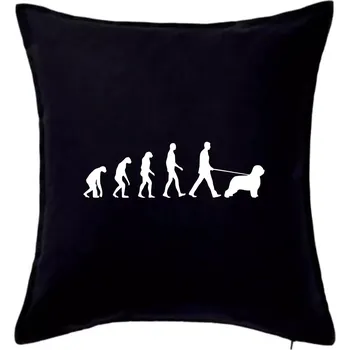 Polštář Evoluce pes Briard - Polštář 50x50 - 50x50 - Včetně výplně ( Černá )