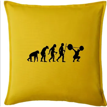 Polštář Evolution fitness - Polštář 50x50 - 50x50 - Pouze potah ( Žlutá )