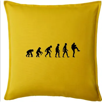 Polštář Evoluce baseball nadhazovač - Polštář 50x50 - 50x50 - Pouze potah ( Žlutá )