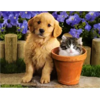 Vikpap RAS20886 - malování podle čísel, plátno 30 × 20 cm - Roztomilé duo