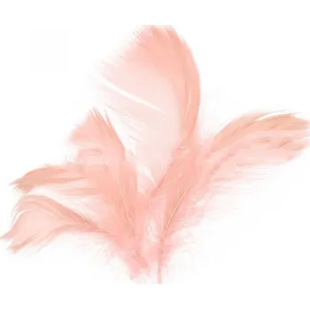 Party dekorace Peří v sáčku 10g lososové