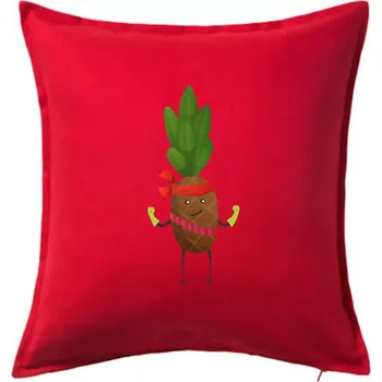 Polštář Ananas indián - Polštář 50x50 - 50x50 - Pouze potah ( Červená )