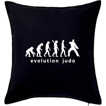 Polštář Judo evoluce - úder - Polštář 50x50 - 50x50 - Pouze potah ( Černá )