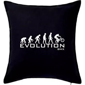 Polštář Evoluce BMX - Polštář 50x50 - 50x50 - Pouze potah ( Černá )