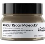 L'Oréal Professionnel Paris Absolut Repair Molecular Repair with bonders & amino acids Maska na vlasy
