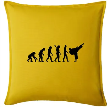 Polštář Karate Evoluce - kop - Polštář 50x50 - 50x50 - Pouze potah ( Žlutá )