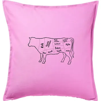 Polštář Kráva nákres s názvy - Polštář 50x50 - 50x50 - Pouze potah ( Růžová )