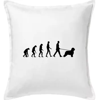 Polštář Evoluce pes Briard - Polštář 50x50 - 50x50 - Pouze potah ( Bílá )