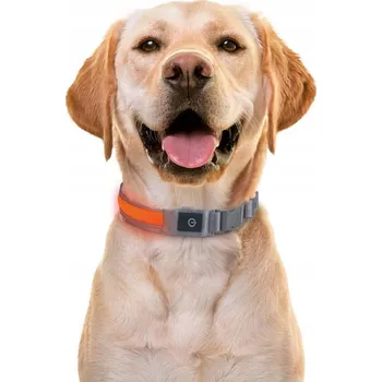 Obojek pro psa LED USB-C obojek pro psa L | 64–70 cm, IP44, 3 režimy svícení, pro bezpečnou noc