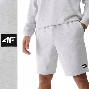 Pánské kraťasy Pánské kraťasy kraťasy 4F 4FWSS25TSHOM0807-27M velikost 3XL