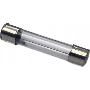 Autopojistky POJISTKA 12V 10A 6x30mm