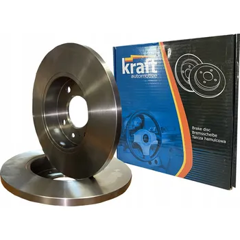 Brzdový kotouč Brzdový kotouč zadní (262 mm)