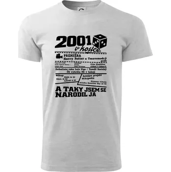 Pánské tričko 2001 v kostce - Triko extra velké (5-8XL) - 7XL ( Světlešedý Melír )