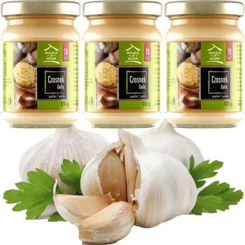 Koření Česneková pasta House of Asia 120 g