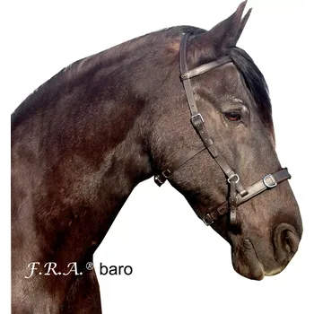 Obnosková uzdečka F.R.A. BARO s udidlem i bez udidla