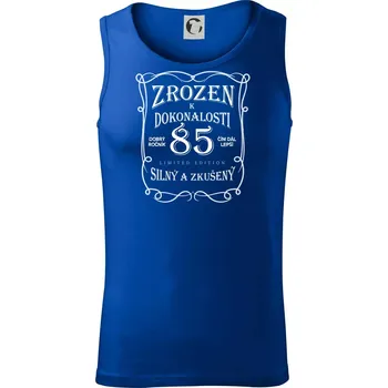 Zrozen k dokonalosti 85 - Tílko pánské Core - 2XL ( Královská modrá )