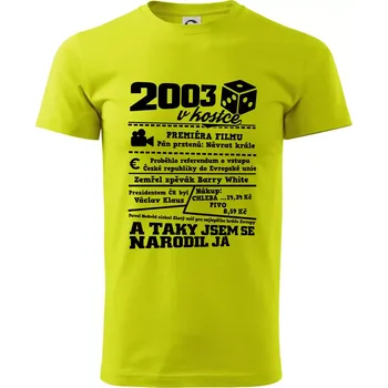 2003 v kostce - Klasické pánské triko vyšší gramáže - 4XL ( Limetková )