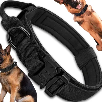 Obojek pro psa Materiálový obojek pro psa Edibazzar, velikost XL